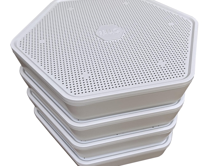 Superworm Container Rack Mini Mealworm Superworm Breeder Box, Tri Unit Setup, Small Worm Keeper ...