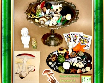 Crow Confetti Crystal Goblincore Trinkets & Treasures Mix Bag - 30 Selected Pieces!