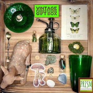 May include: A vintage forestcore gift box with a green glass water sprayer, a deer figurine, a green glass dish, and a butterfly print. The box also contains a variety of natural elements, including mushrooms, shells, and moss.