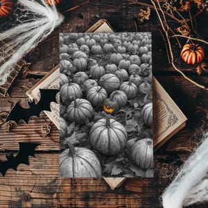 Puede incluir: Una imagen temática de Halloween con un campo de calabazas en escala de grises y una linterna jack-o'-lantern iluminada. La escena incluye elementos decorativos como una telaraña, murciélagos y una pequeña calabaza, sobre una superficie de madera rústica.