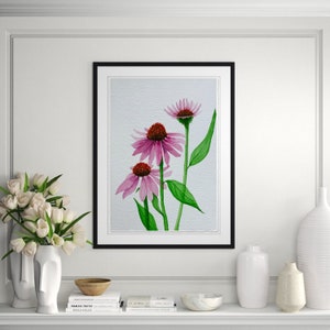 Echinacea Flowers