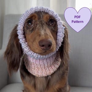 Könnte beinhalten: Ein Dackel mit langem Haar trägt einen gestrickten Kragen in Lavendel- und Rosatönen. Der Hund sitzt auf einem grauen Stuhl. Eine lila herzförmige Grafik mit dem Text "PDF Pattern" befindet sich oben rechts.