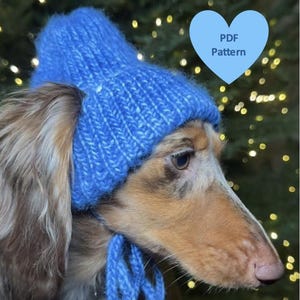 Stickad mössa PDF-mönster för liten hund