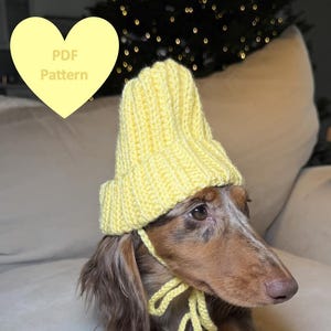 Crochet Beanie PDF Pattern for small dog