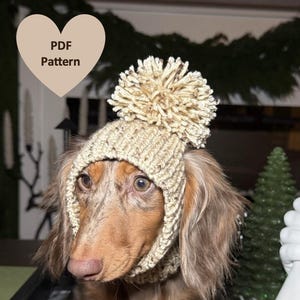 Modello PDF per berretto lavorato a maglia per cani di piccola taglia