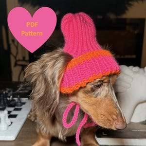 PDF-patroon gebreide beanie voor kleine hond