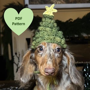 Crochet Christmas Tree Hat PDF Pattern for small dog