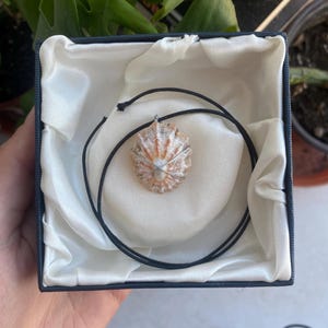 Limpet Sea-Shell Handmade Necklace