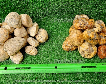 Yellow Granite Stones 5lbs