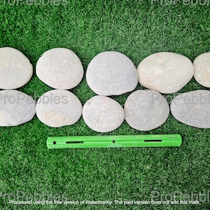 Beach Flats (10)3.5-5inch