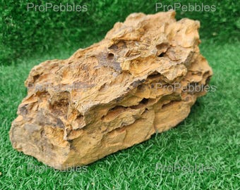 Ohko Dragon Stone 5lb