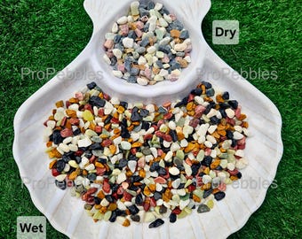 5 Color Mix 20lb