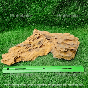 Piedra de dragón Ohko de 3 libras