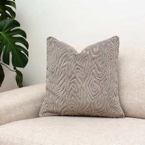 May include: A decorative square pillow in a neutral taupe color with a raised, textured pattern resembling tree rings. The pillow is placed on a beige sofa, with a large green plant visible in the background.