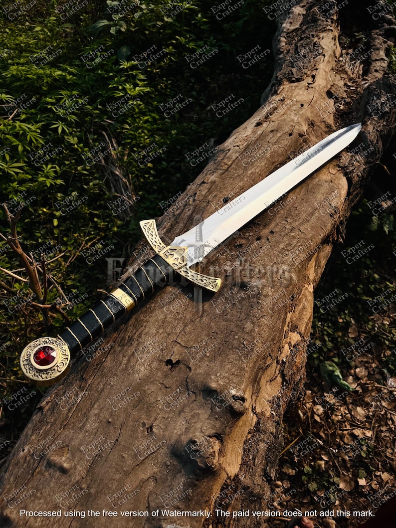 May include: A decorative sword with a silver blade and a black handle wrapped in leather. The hilt is gold-colored with intricate designs, and a red jewel is set in the pommel. The sword rests on a weathered log.
