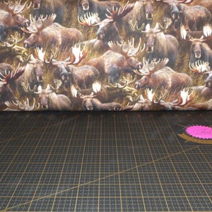 Oasis Fabrics. Wilderness. Moose Multi DIGITAL PRINT