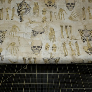 Free Spirit. Laboratory. Anatomy CANVAS Neutral 44 inch wide - Designed by Tim Holtz