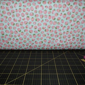 Robert Kaufman. Strawberry Season. Strawberries Seafoam