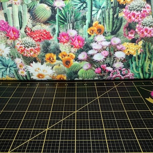 Zeitlose Kostbarkeiten. Wüstenträume. Kaktus Blumen Blüte Multi DIGITAL GEDRUCKT