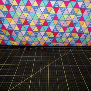 Riley Blake. Rainbow Fruit. Triangles Blue