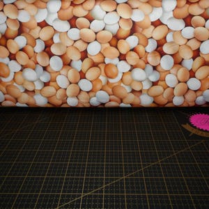Michael Miller. Early To Rise. Eggstraordinary Eggshell - farmhouse style eggs fabric