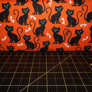 Michael Miller. Bats & Black Cats. Bone Appetite Orange