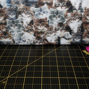 Windham Fabrics. One Of A Kind. Kittens Digitally Printed