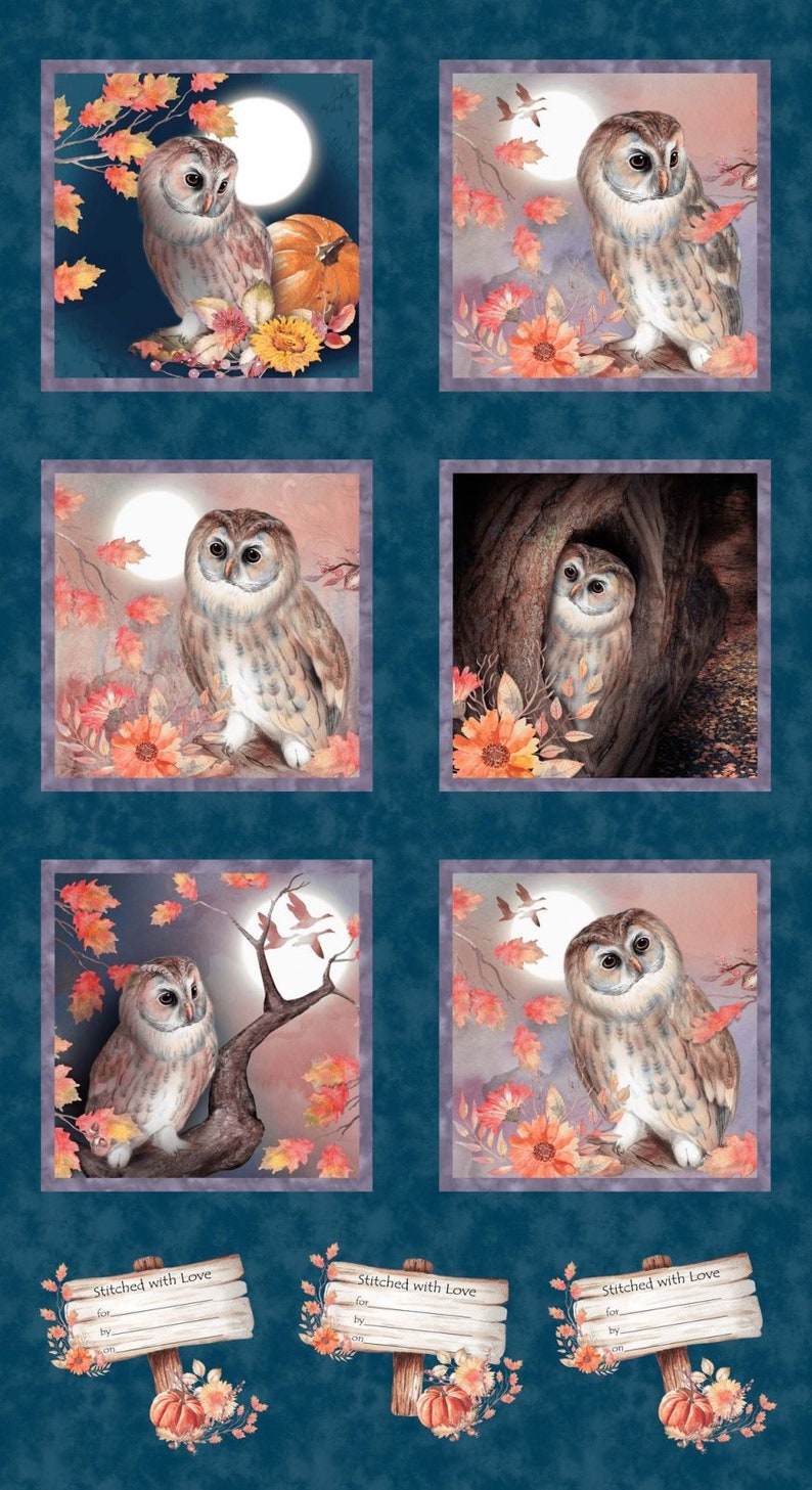 Owl Block Graphics Studio E. Night Owl. 9.5 Inch Owl Blocks Panel 2/3 Yd - Etsy