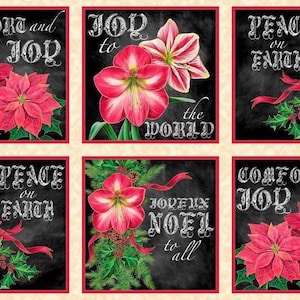 Op de afbeelding: Zes zwarte schoolbordvierkanten met witte tekst en rode kerststerren en amaryllisbloemen. De tekst luidt "Trost en vreugde", "Vreugde voor de wereld", "Vrede op aarde", "Vrede op aarde", "Vrolijk kerstfeest voor iedereen" en "Trost en vreugde".