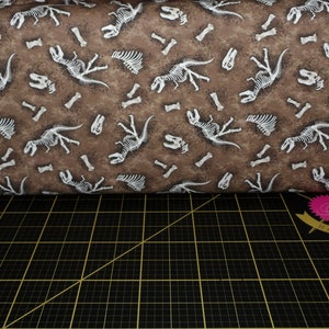 Michael Miller. Dinosaurs, Dinosaurs. Fossils Brown