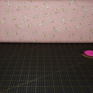 Clothworks. GHMILY 2024. Tossed Bunnies Coral - Guess How Much I Love You Fabric