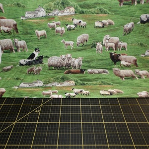 Lo studio di Elisabetta. Animali da fattoria. Pecore verdi sceniche