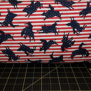 Michael Miller. All American. Rodeo Rider Stripes Red