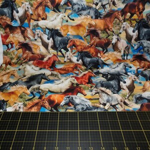 Miguel Miller. País del gran cielo. Libertad Multi IMPRESO DIGITALMENTE