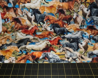 Michael Miller. Big Sky Country. Freedom Multi DIGITALLY PRINTED