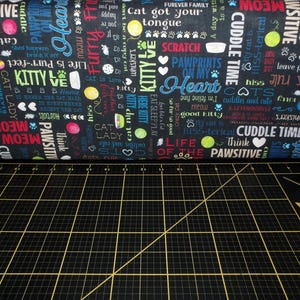 Kanvas. Kitty City. Words Black
