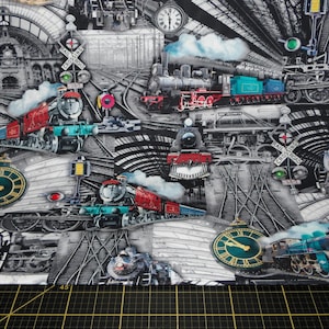 Michael Miller. Alle einsteigen. Central Station Zinn DIGITAL PRINT