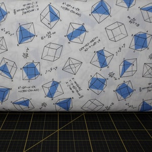 Robert Kaufman. Musings. Cubes White