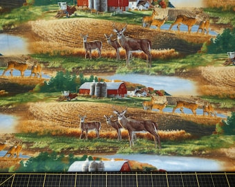 Estudio de Isabel. cola blanca multi