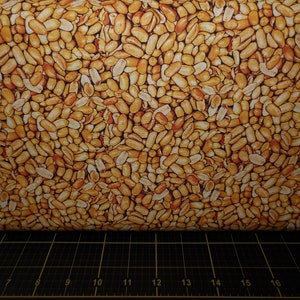 Kanvas. Ale House. Beer Nuts Natural