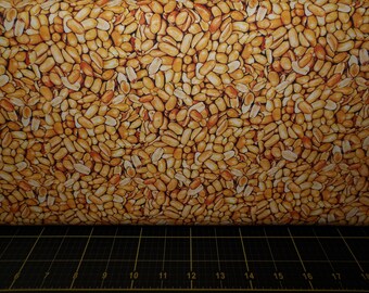 Kanvas. Ale House. Beer Nuts Natural