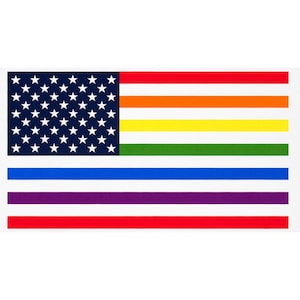 May include: A flag with the American flag design, but with additional stripes in the colors of the rainbow, a blue stripe, and a purple stripe.