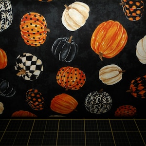 Northcott. Black Cat Capers. Tossed Pumpkins Black