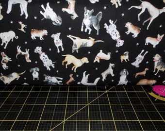 Kanvas. Pomyśl o Pawsitive. Wierni Przyjaciele Czarni