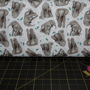 Studio E. All Big Things Start Small. Elephants White/Gray