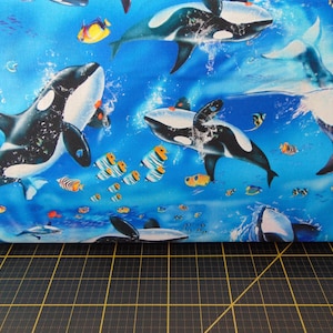 Studio E. Reef Life. Diving Whales Cyan