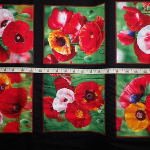 Elizabeth Studio. Poppies Block Black Panel 2/3 yd