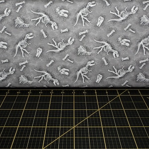 Michael Miller. Dinosaurs, Dinosaurs. Fossils Gray