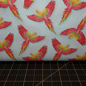 Tula Pink. Daydreamer. Macaw Ya Later Mango