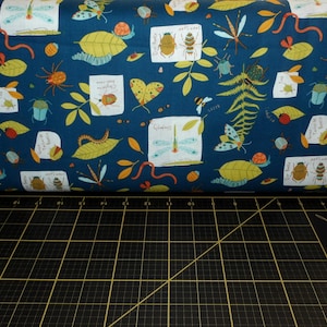 Northcott. Backyard Bug Collector. Bug Collection Navy